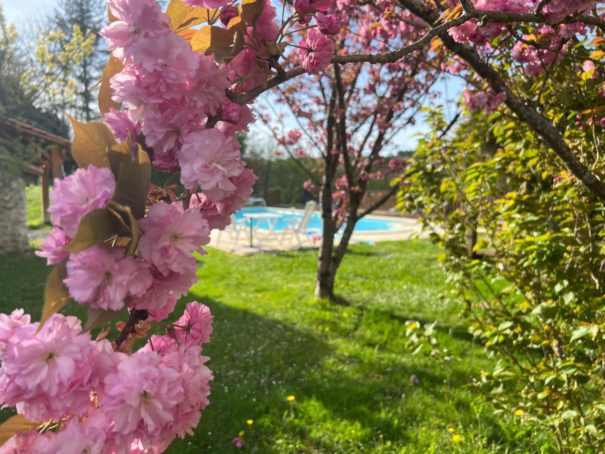 Entire Apartment With Swimming Pool Near Aubeterre Saint-Romain  Buitenkant foto